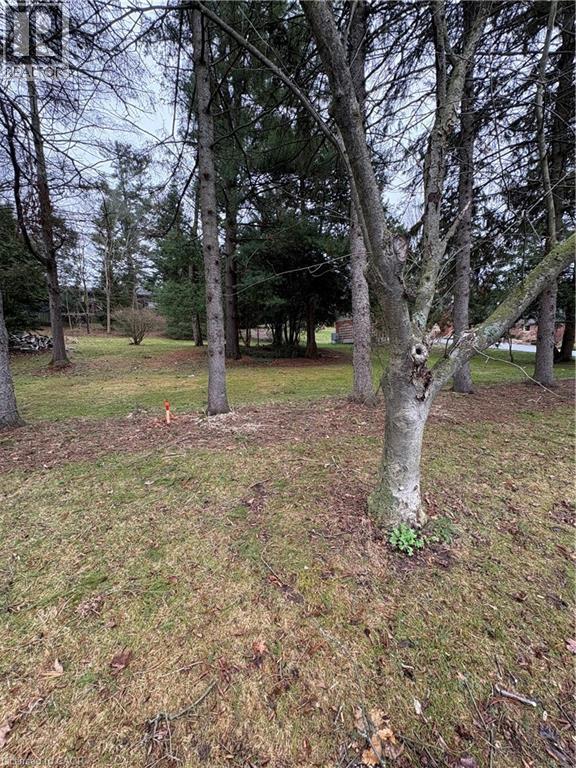 152 MCCALL Crescent, Simcoe, Ontario, N3Y2E1 — Photo 4