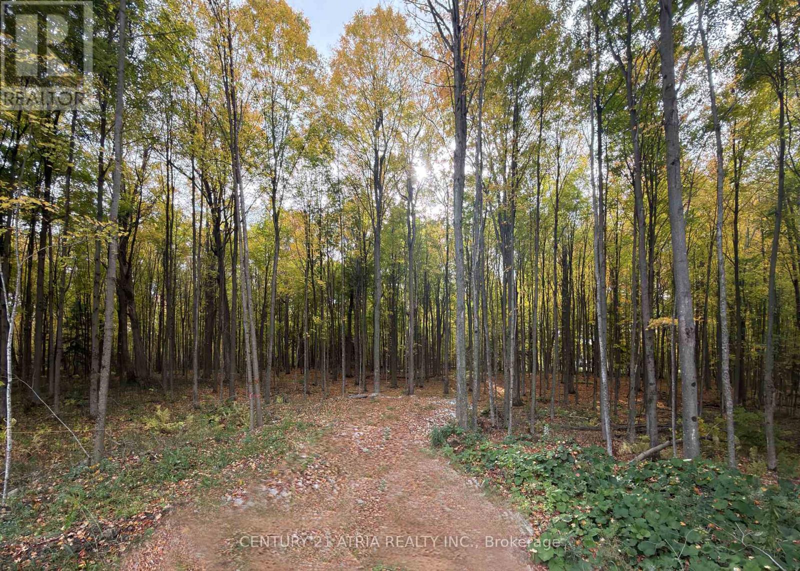 3303 DAVIS DRIVE, Whitchurch-Stouffville, Ontario, L4A2P8 — Photo 15