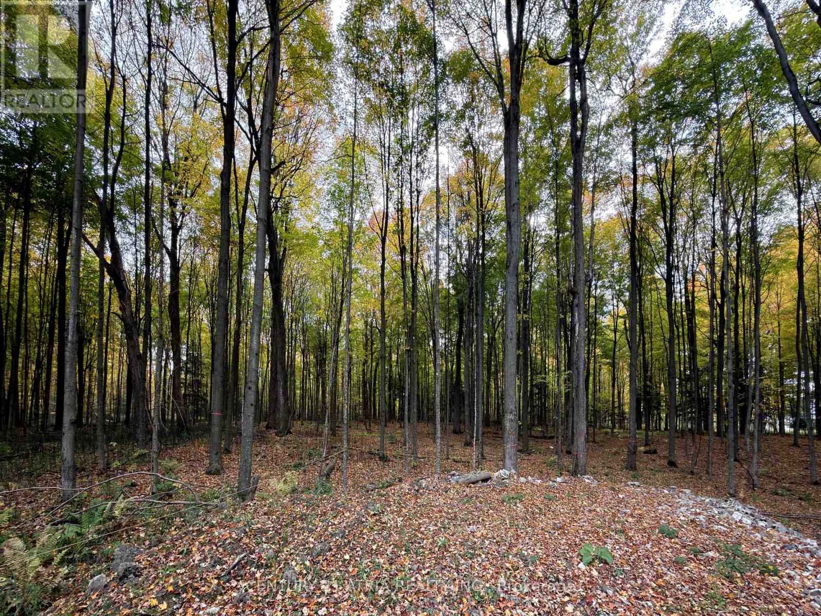 3303 DAVIS DRIVE, Whitchurch-Stouffville, Ontario, L4A2P8 — Photo 16