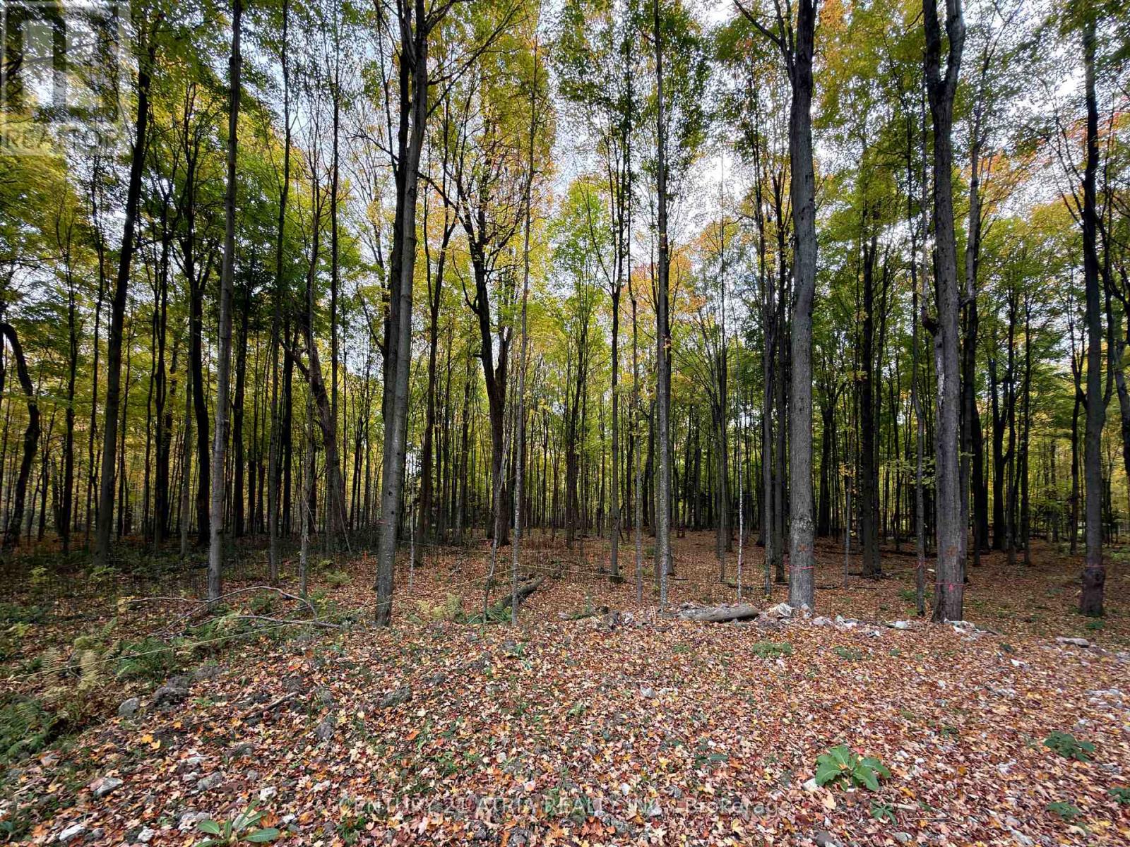 3303 DAVIS DRIVE, Whitchurch-Stouffville, Ontario, L4A2P8 — Photo 17