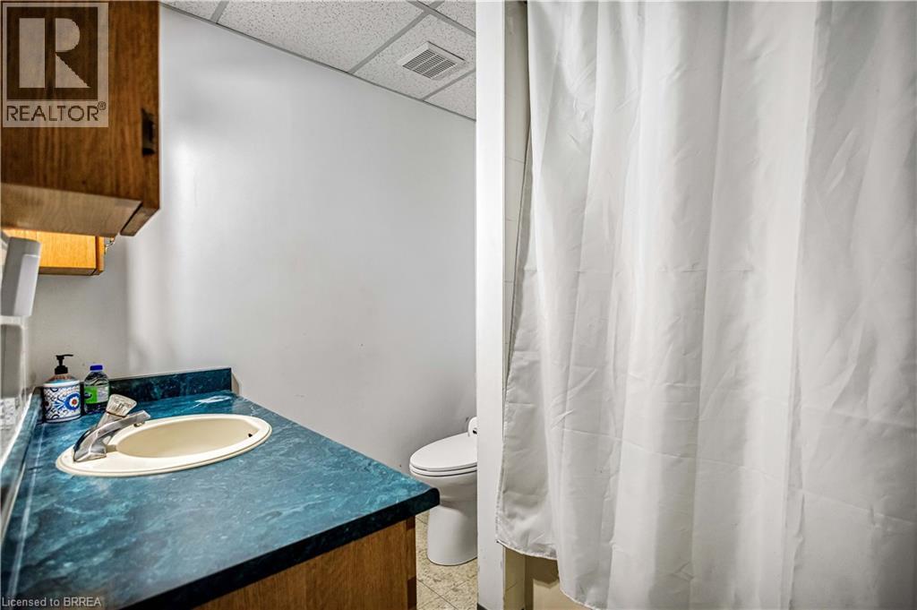 215 GRAND RIVER Avenue, Brantford, Ontario, N3T4Y3 — Photo 19