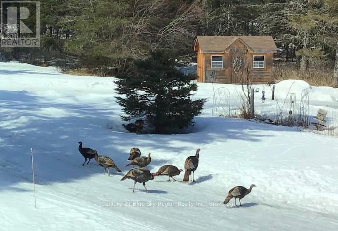 3837 ALSACE ROAD, Nipissing, Ontario, P0H0A3 — Photo 48