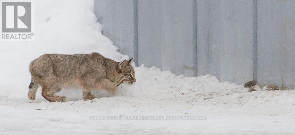 3837 ALSACE ROAD, Nipissing, Ontario, P0H0A3 — Photo 49