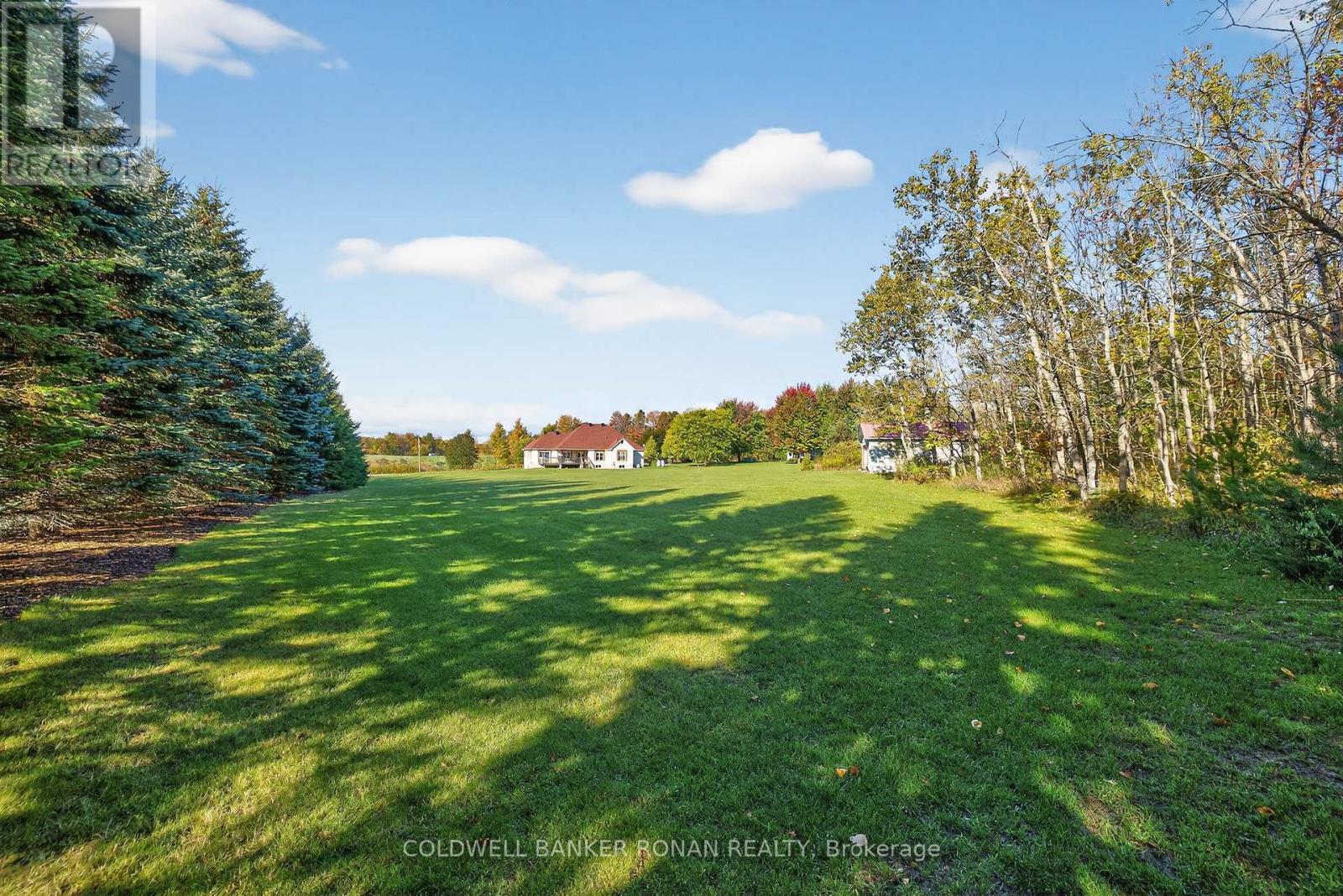 6595 3RD LINE, Essa, Ontario, L9R1V2 — Photo 16