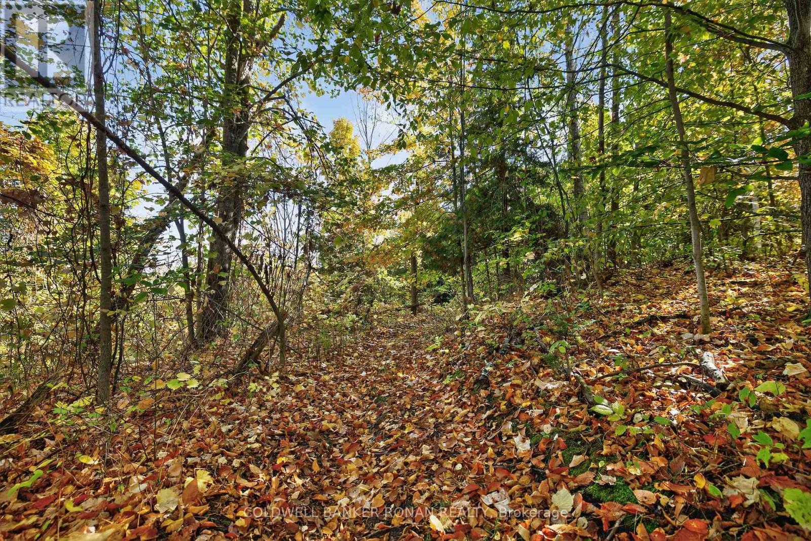 6595 3RD LINE, Essa, Ontario, L9R1V2 — Photo 7