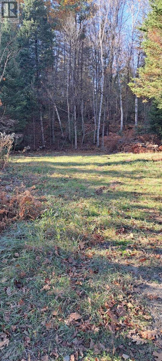 1992 SMITH ROAD, Frontenac (Frontenac North), Ontario, K0H1C0 — Photo 11