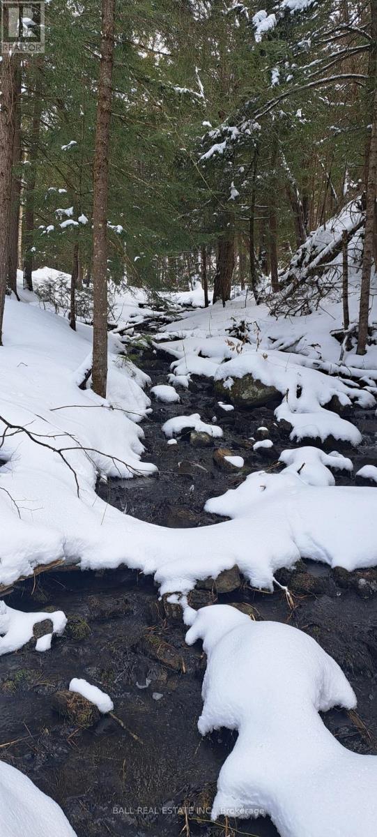 1992 SMITH ROAD, Frontenac (Frontenac North), Ontario, K0H1C0 — Photo 2