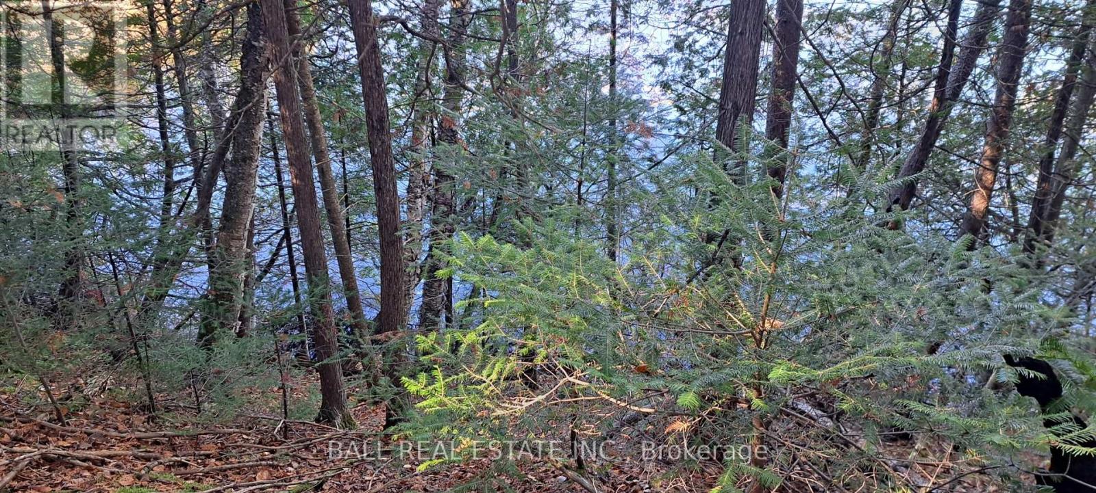 1992 SMITH ROAD, Frontenac (Frontenac North), Ontario, K0H1C0 — Photo 5