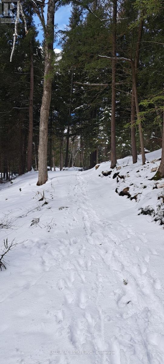 1992 SMITH ROAD, Frontenac (Frontenac North), Ontario, K0H1C0 — Photo 7