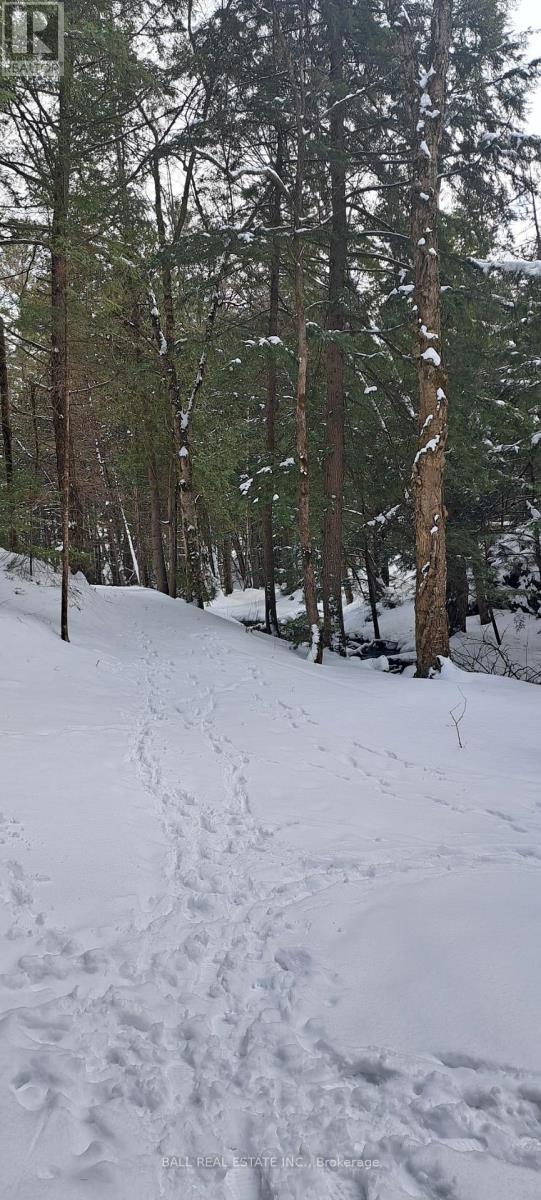 1992 SMITH ROAD, Frontenac (Frontenac North), Ontario, K0H1C0 — Photo 9