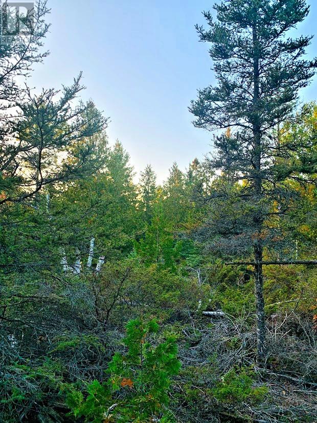 L17C8 Evergreen Drive, Spring Bay, Ontario, P0P2B0 — Photo 3