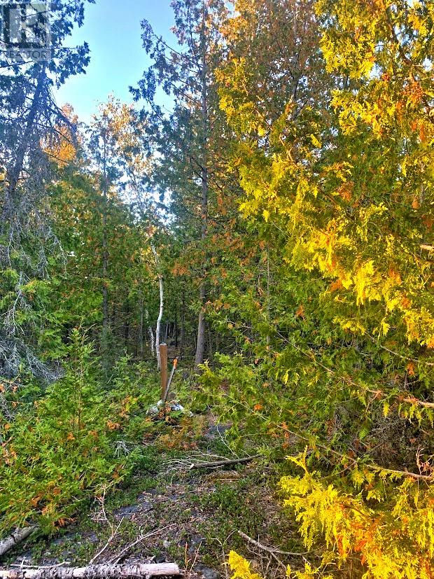 L17C8 Evergreen Drive, Spring Bay, Ontario, P0P2B0 — Photo 5