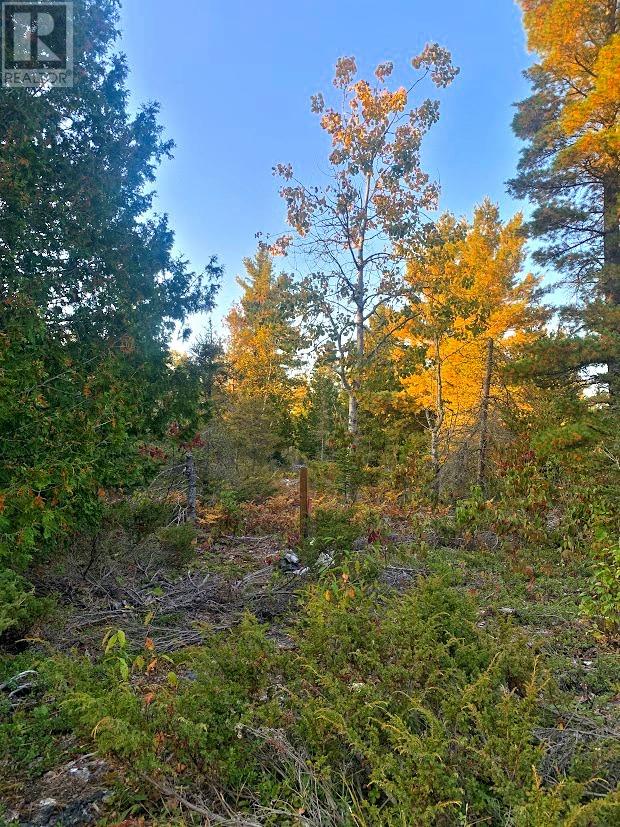 L17C8 Evergreen Drive, Spring Bay, Ontario, P0P2B0 — Photo 8