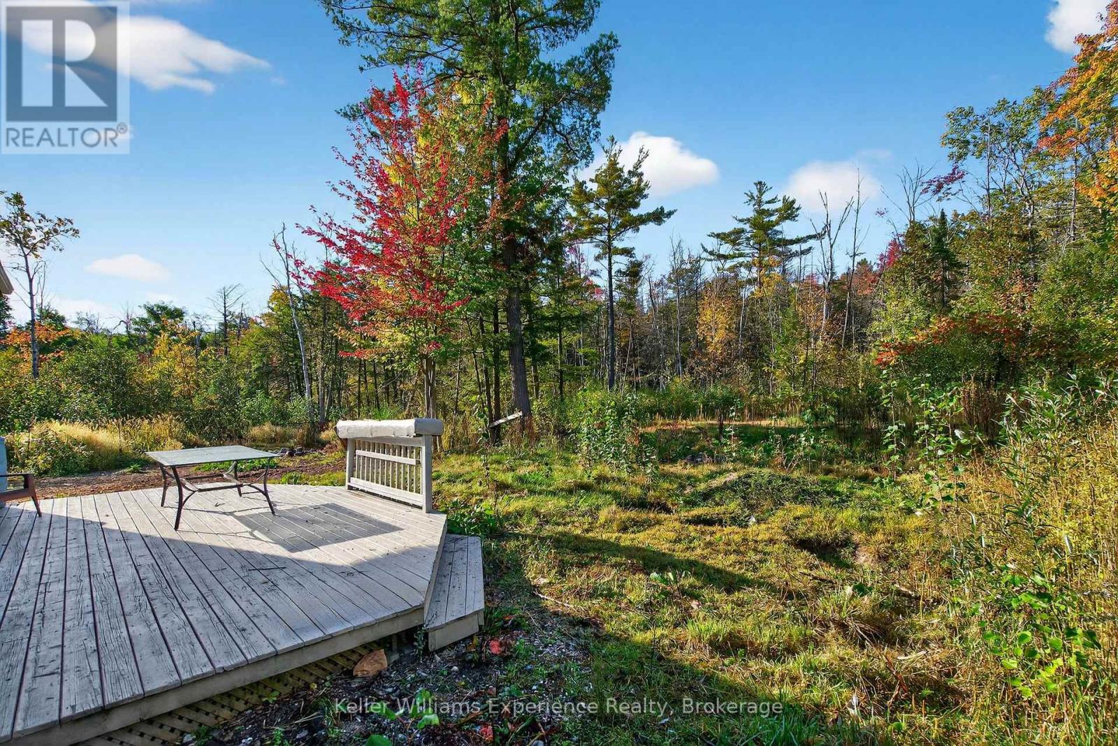 556 CHAMPLAIN ROAD, Tiny, Ontario, L9M0C2 — Photo 31