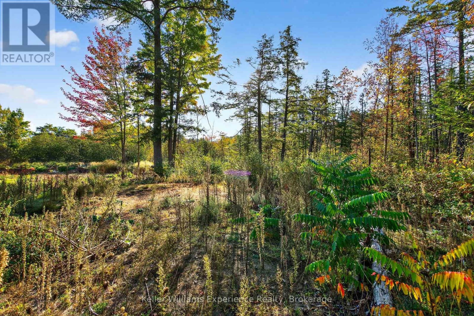 556 CHAMPLAIN ROAD, Tiny, Ontario, L9M0C2 — Photo 32