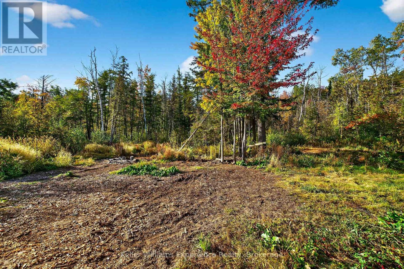 556 CHAMPLAIN ROAD, Tiny, Ontario, L9M0C2 — Photo 33