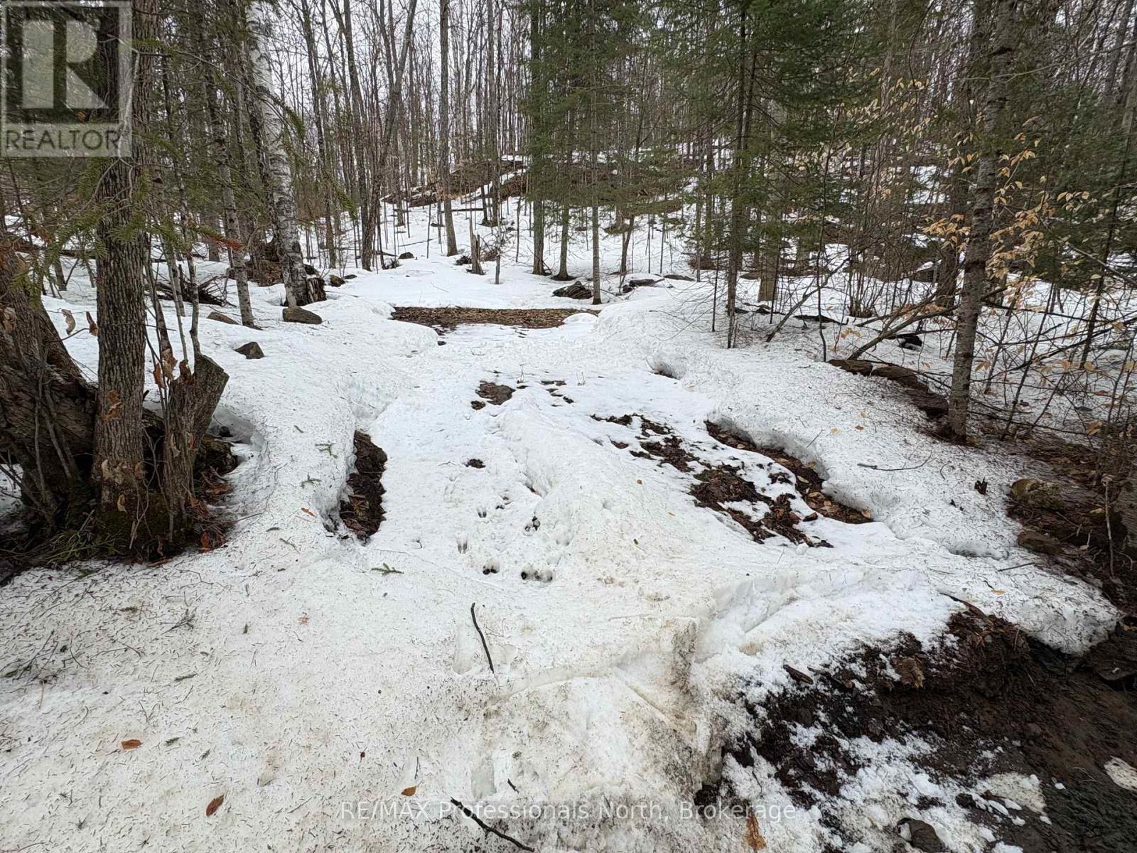 0 POVERTY BAY TRAIL, Minden Hills (Minden), Ontario, K0M2K0 — Photo 10