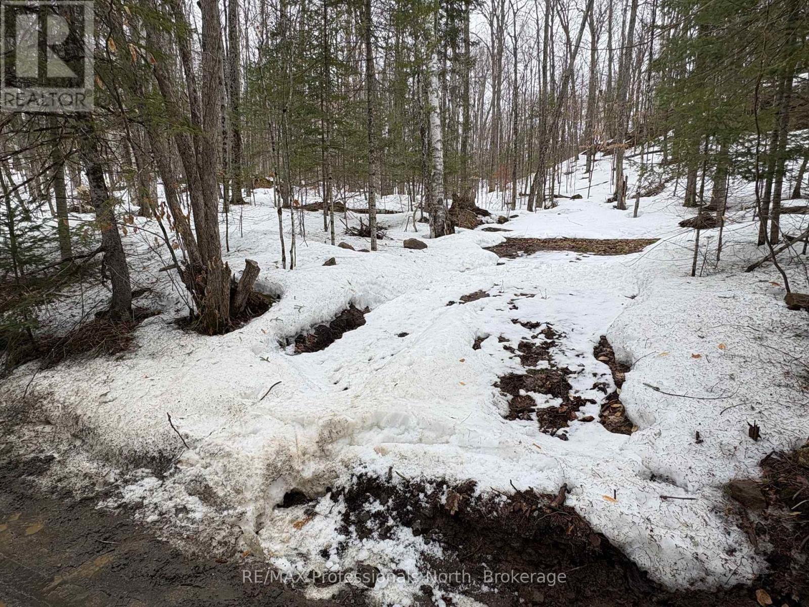 0 POVERTY BAY TRAIL, Minden Hills (Minden), Ontario, K0M2K0 — Photo 14