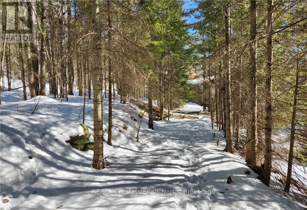 0 POVERTY BAY TRAIL, Minden Hills (Minden), Ontario, K0M2K0 — Photo 16