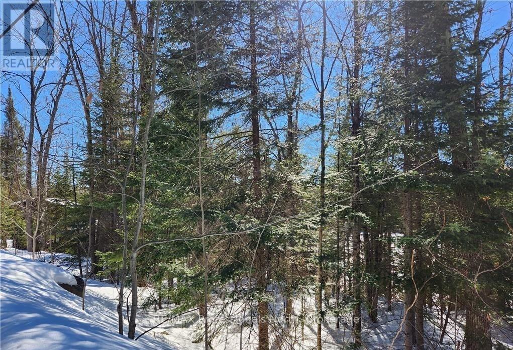 0 POVERTY BAY TRAIL, Minden Hills (Minden), Ontario, K0M2K0 — Photo 17