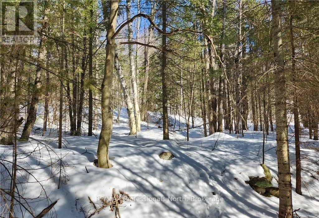 0 POVERTY BAY TRAIL, Minden Hills (Minden), Ontario, K0M2K0 — Photo 18