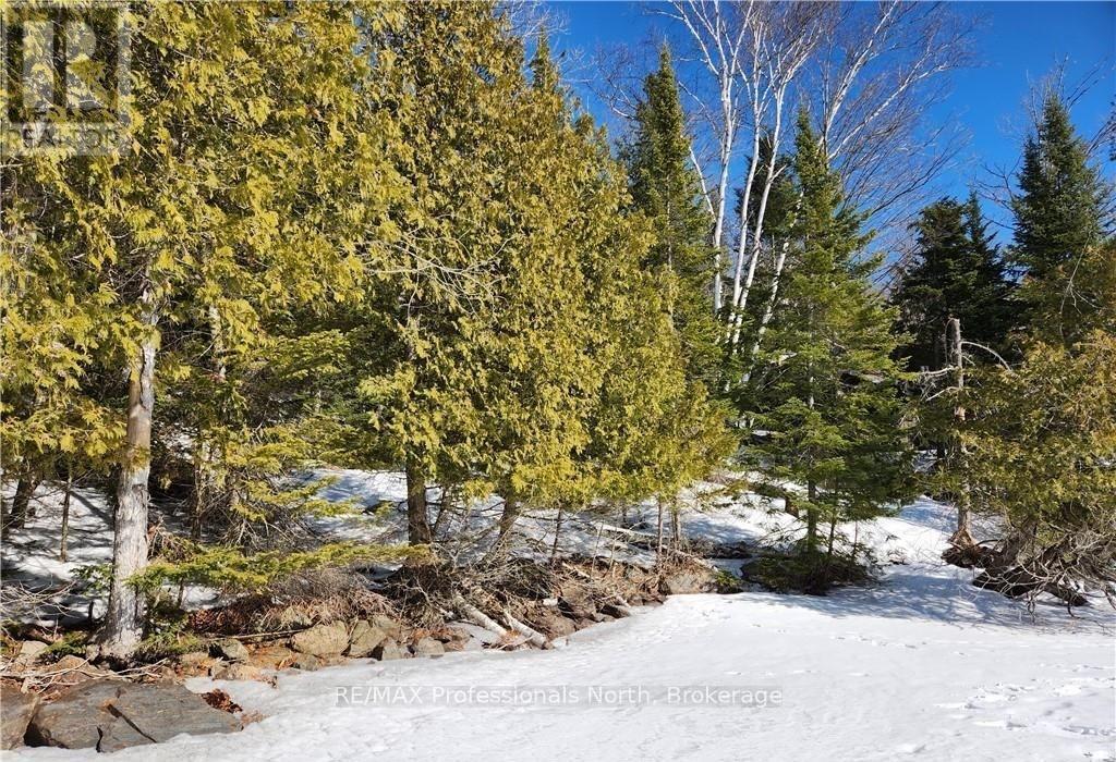 0 POVERTY BAY TRAIL, Minden Hills (Minden), Ontario, K0M2K0 — Photo 2