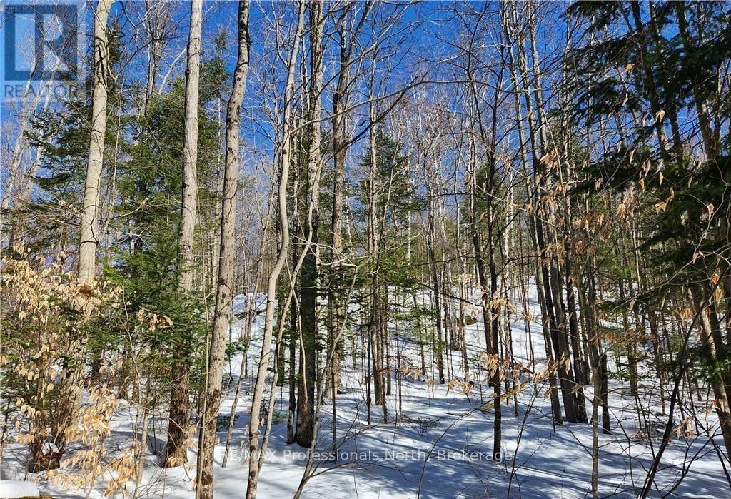 0 POVERTY BAY TRAIL, Minden Hills (Minden), Ontario, K0M2K0 — Photo 3