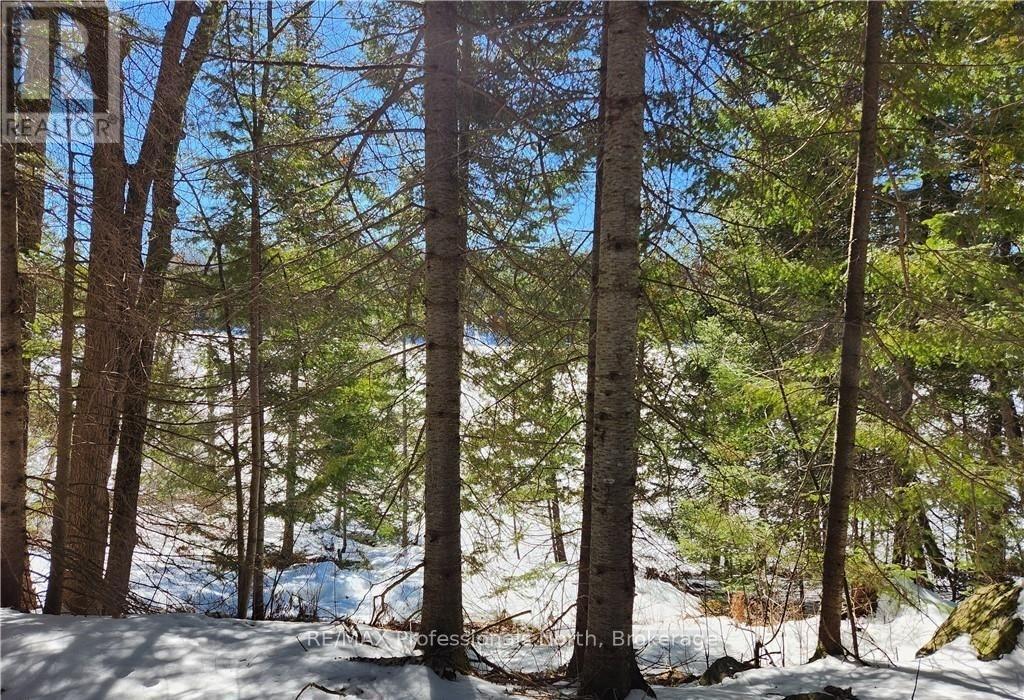 0 POVERTY BAY TRAIL, Minden Hills (Minden), Ontario, K0M2K0 — Photo 6