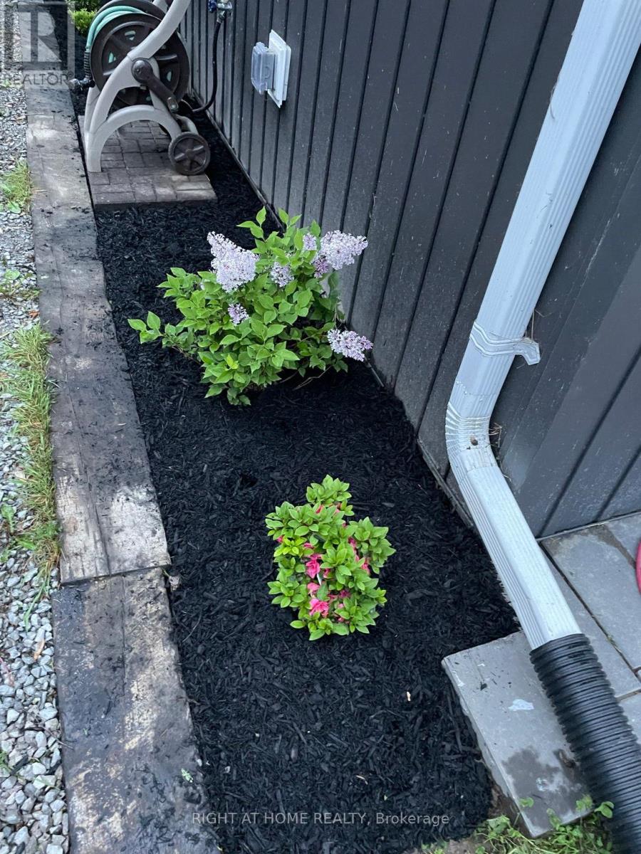 54 BLUE JAY BOULEVARD, Georgina (Virginia), Ontario, L0E1N0 — Photo 40