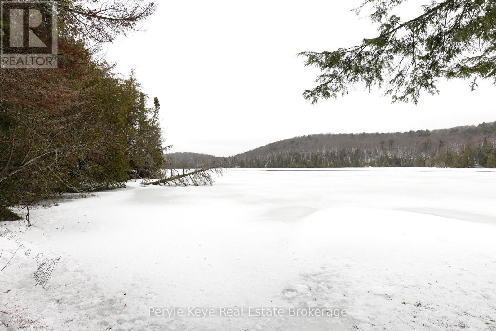 2391 LIMBERLOST ROAD, Lake of Bays (Finlayson), Ontario, P1H2J6 — Photo 8