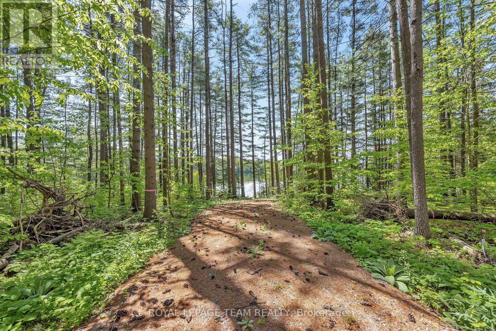 1143 WABALAC ROAD, Lanark Highlands, Ontario, K0A1P0 — Photo 3