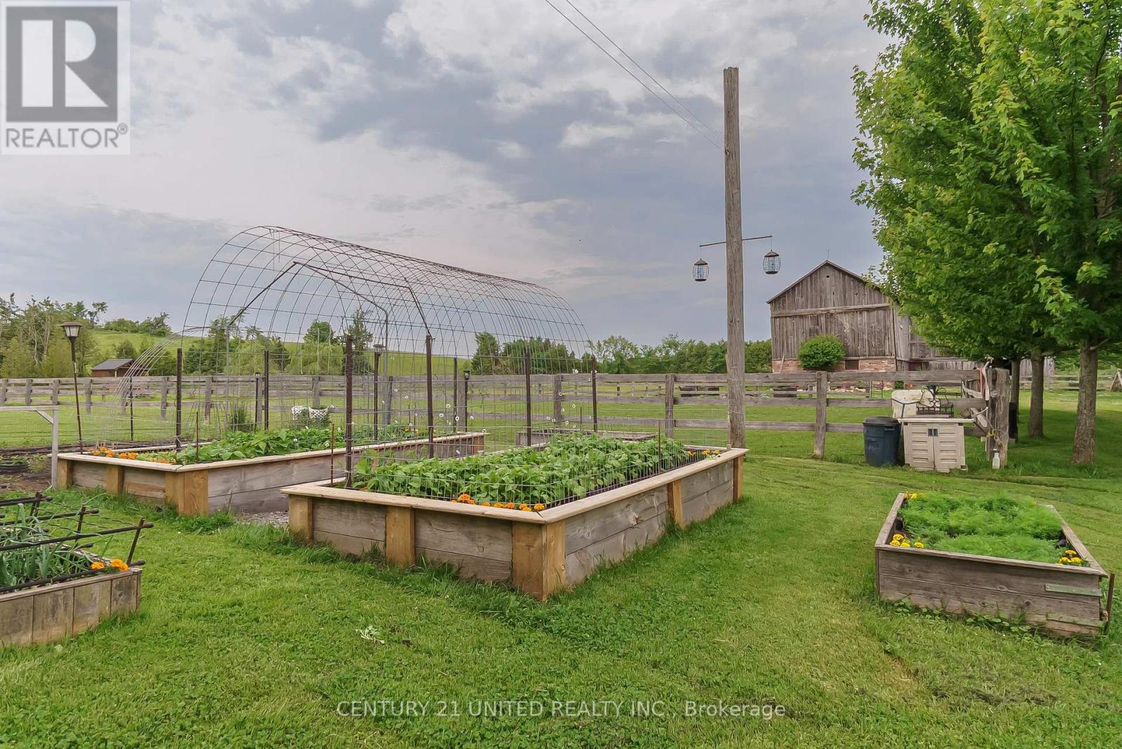 1662 11TH LINE, Selwyn, Ontario, K0L2H0 — Photo 16