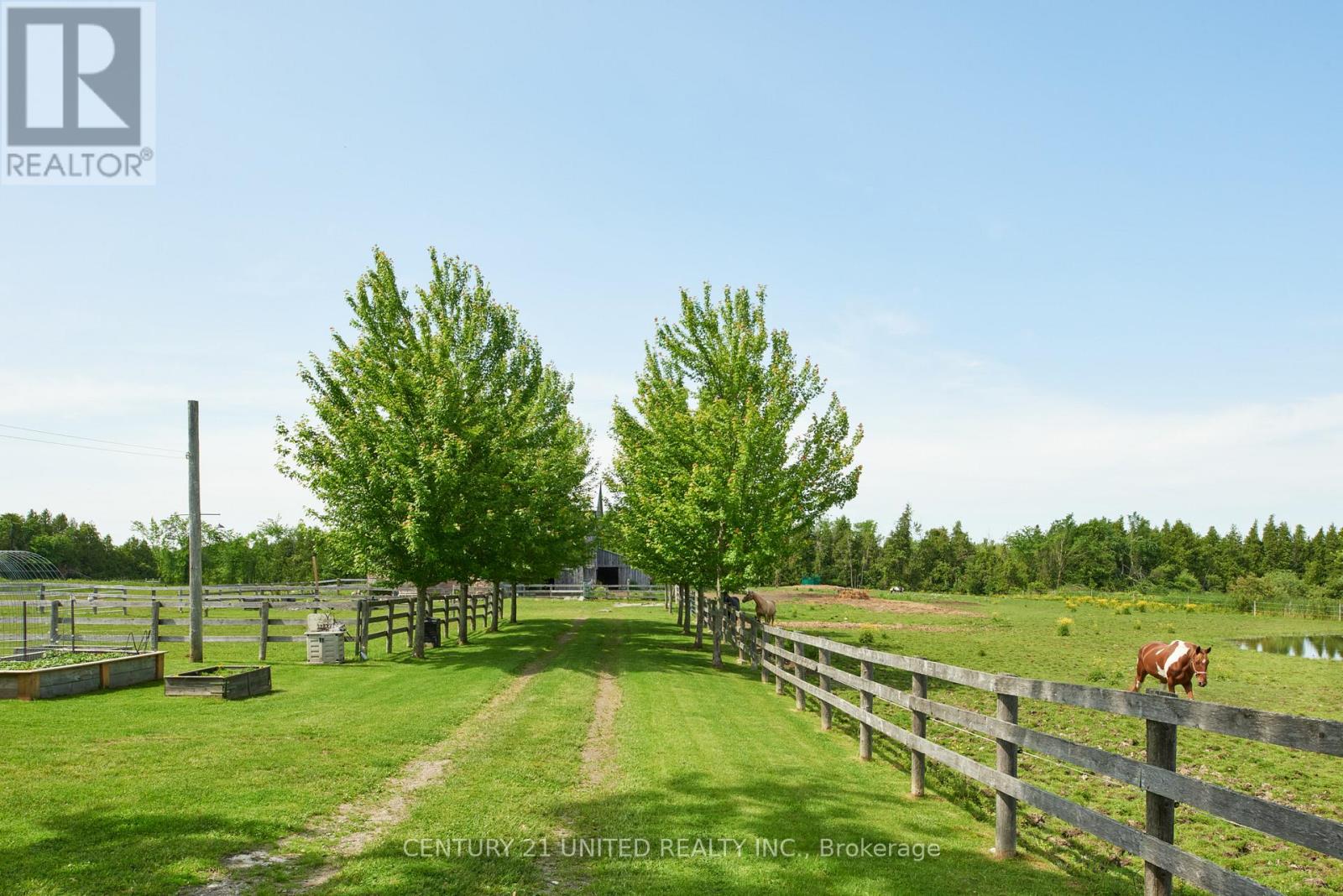 1662 11TH LINE, Selwyn, Ontario, K0L2H0 — Photo 17