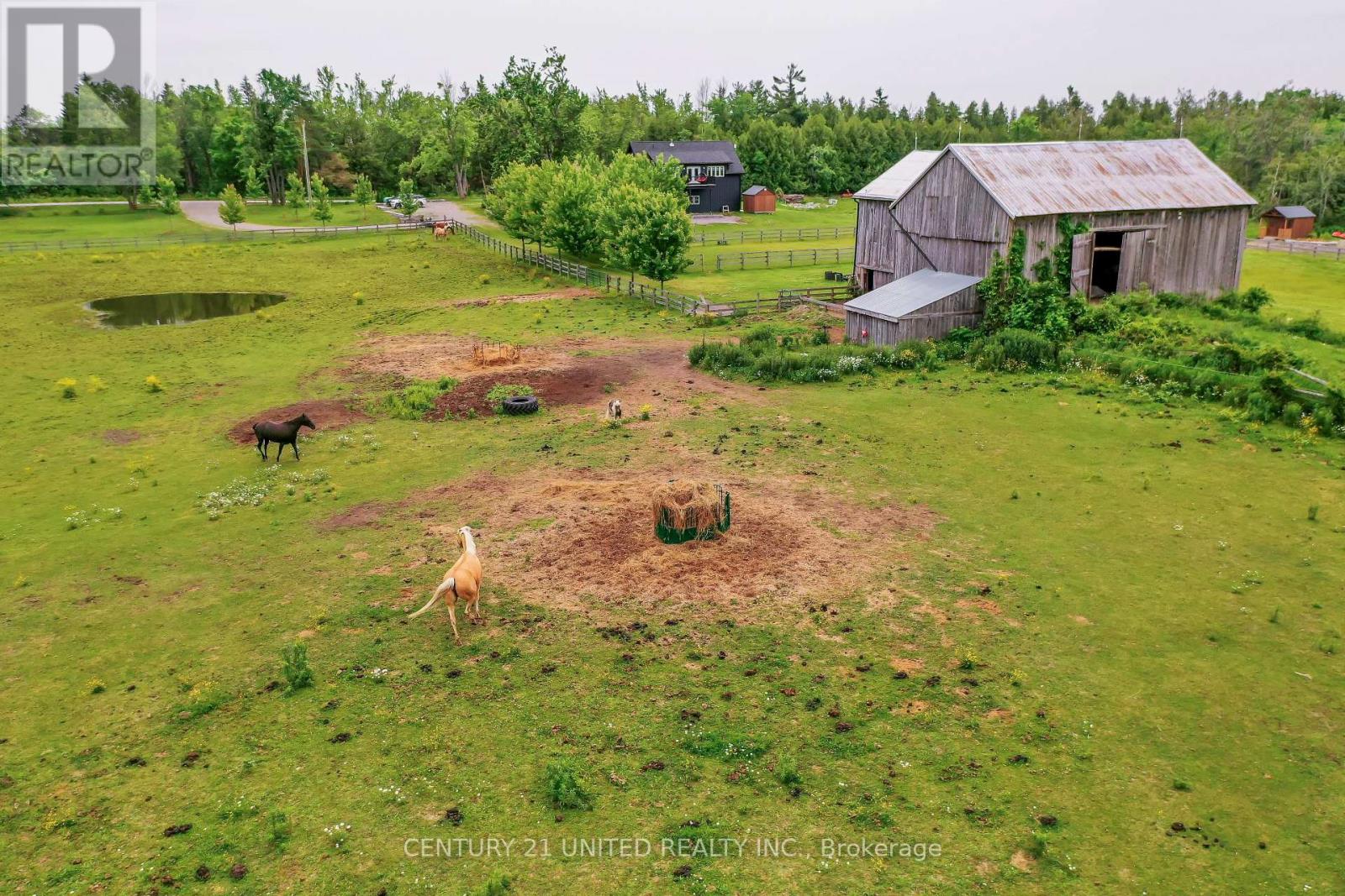 1662 11TH LINE, Selwyn, Ontario, K0L2H0 — Photo 37