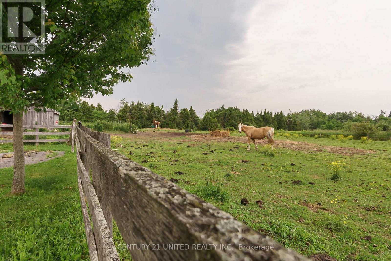 1662 11TH LINE, Selwyn, Ontario, K0L2H0 — Photo 49