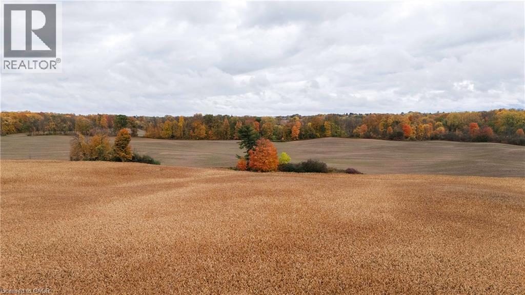 57 MONTEITH Drive, Brantford, Ontario, N3T0W6 — Photo 38