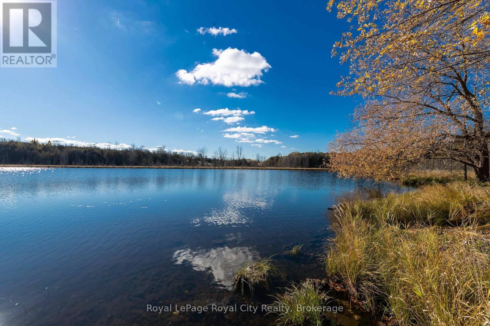 6361 16TH LINE, Minto, Ontario, N0G1M0 — Photo 16
