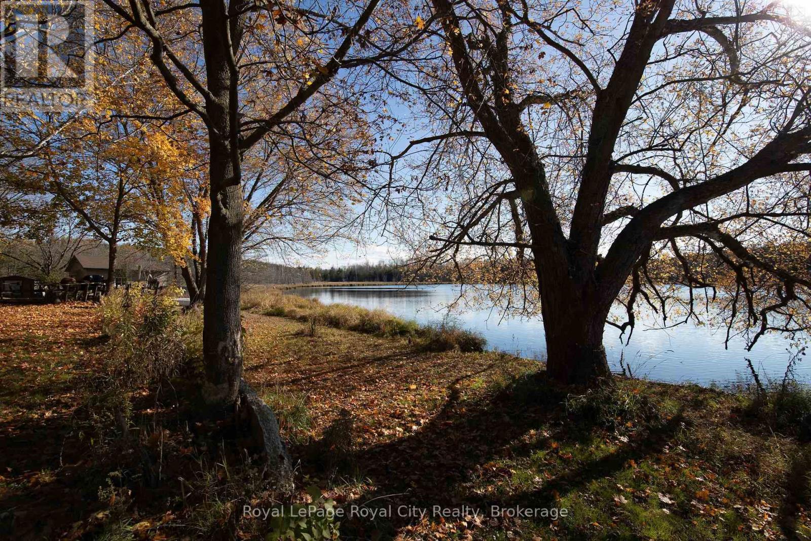 6361 16TH LINE, Minto, Ontario, N0G1M0 — Photo 21