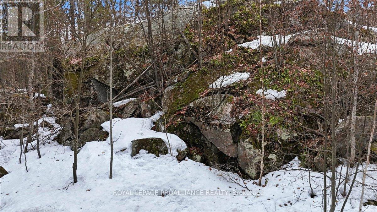 13 MAZINAW HEIGHTS ROAD N, Frontenac (Frontenac North), Ontario, K0H1K0 — Photo 38