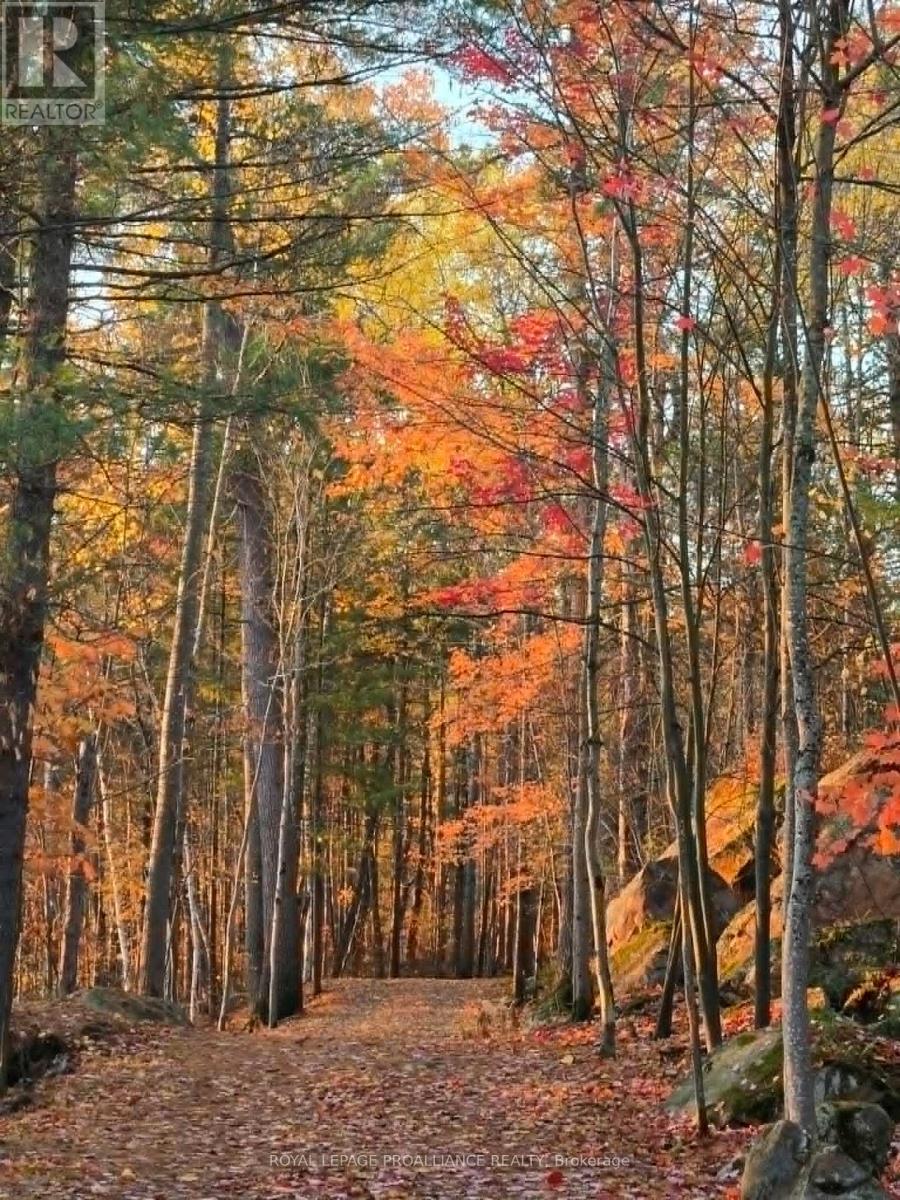 13 MAZINAW HEIGHTS ROAD N, Frontenac (Frontenac North), Ontario, K0H1K0 — Photo 45