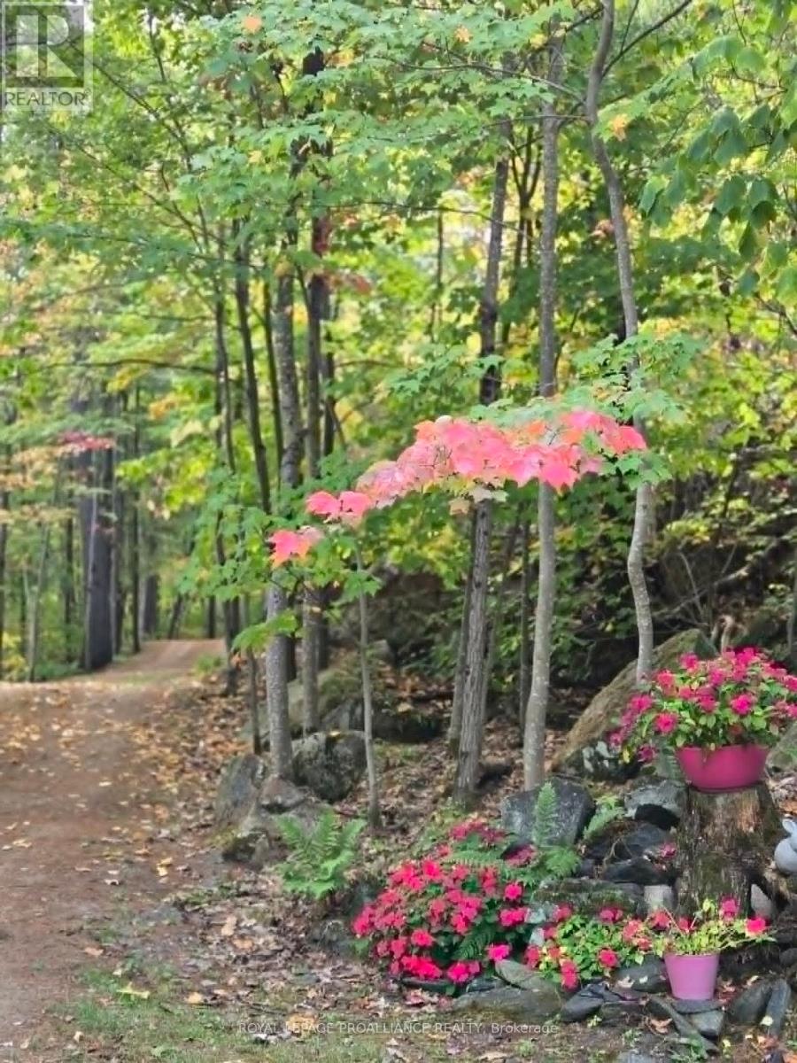 13 MAZINAW HEIGHTS ROAD N, Frontenac (Frontenac North), Ontario, K0H1K0 — Photo 48