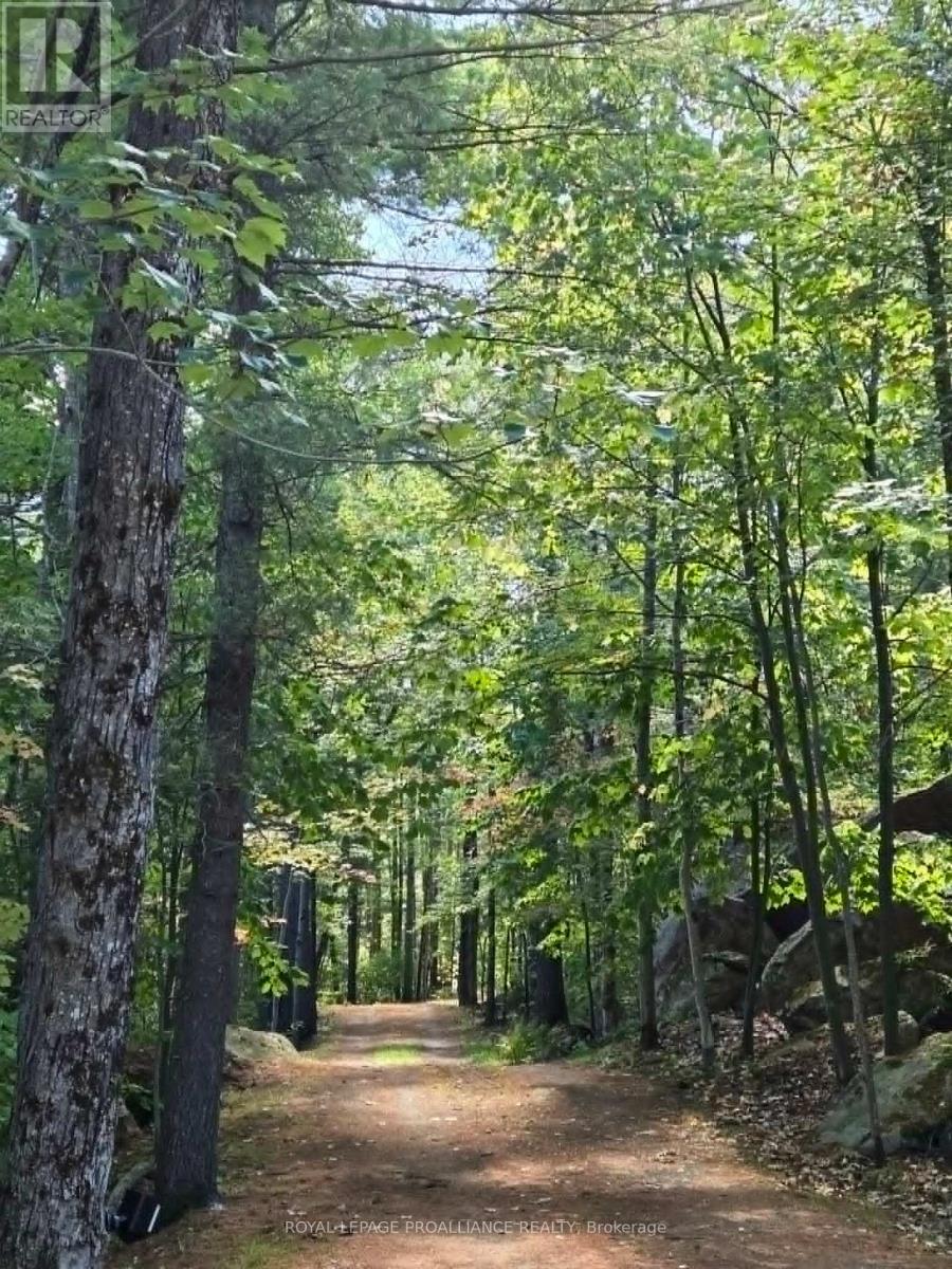 13 MAZINAW HEIGHTS ROAD N, Frontenac (Frontenac North), Ontario, K0H1K0 — Photo 49