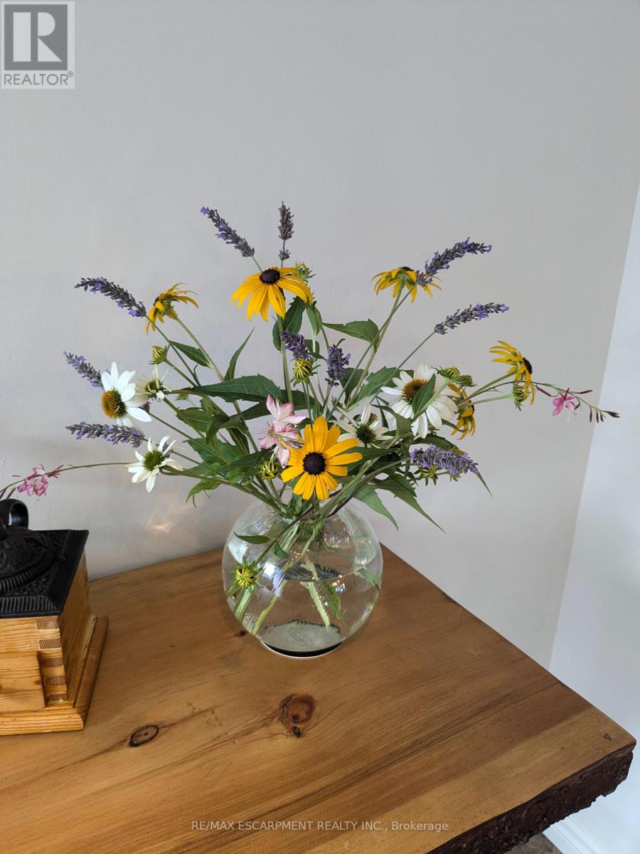 136 GLENARIFF DRIVE, Hamilton, Ontario, L8B1A5 — Photo 37