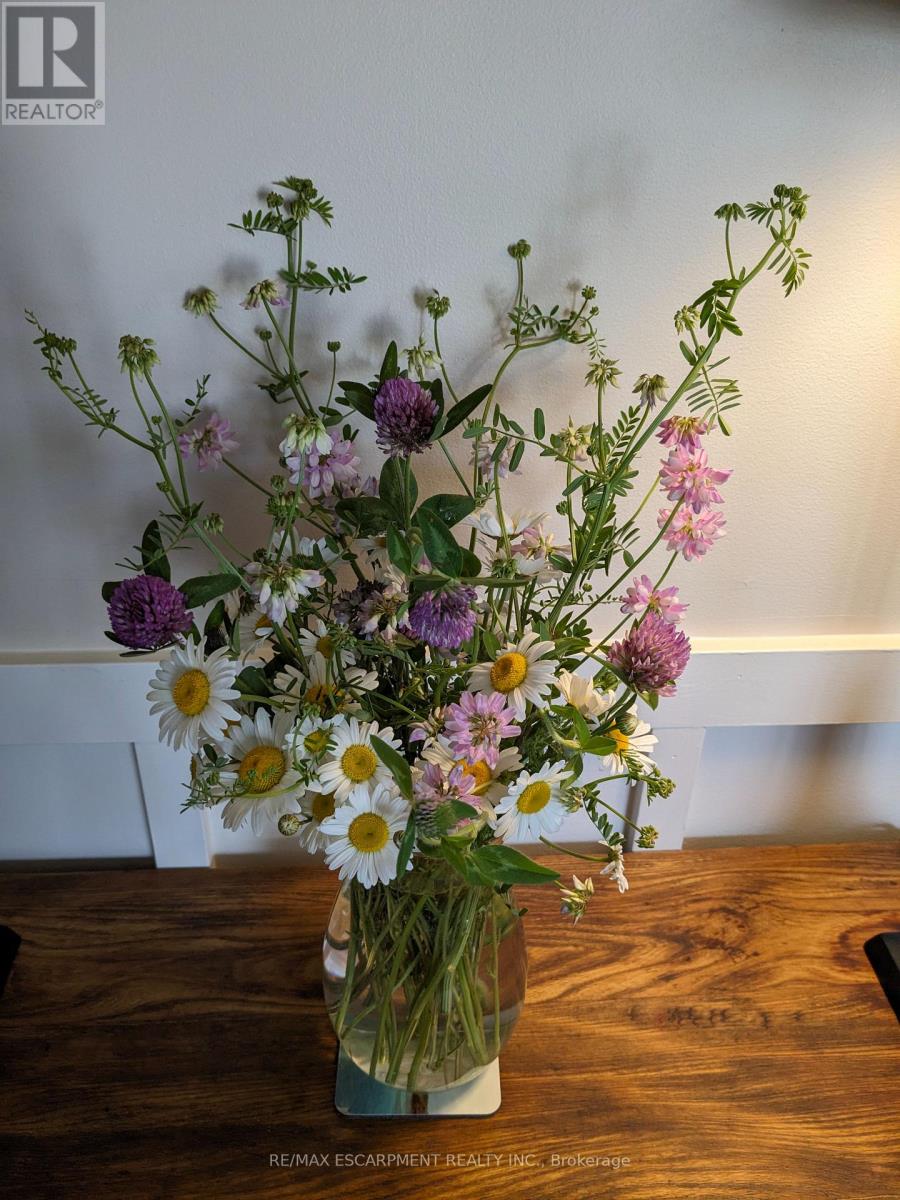 136 GLENARIFF DRIVE, Hamilton, Ontario, L8B1A5 — Photo 38