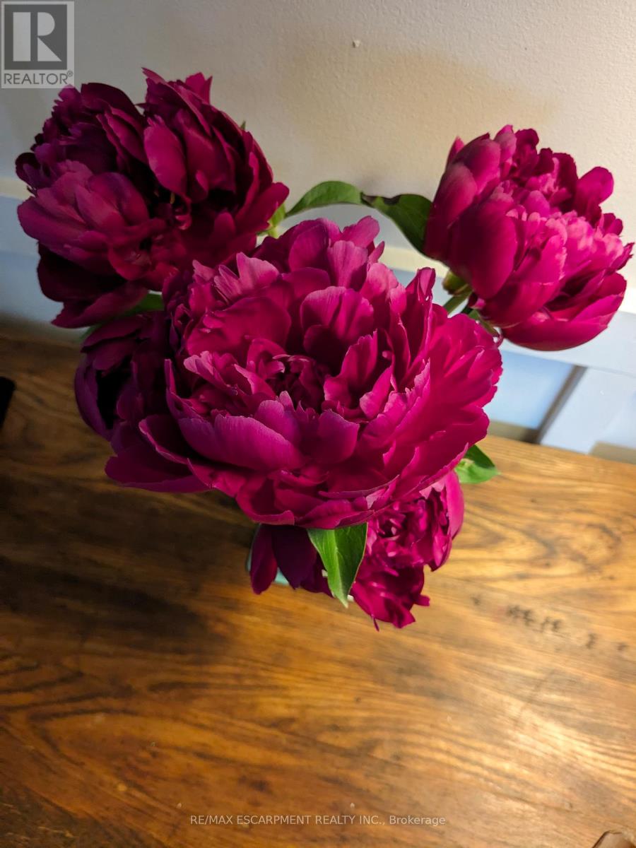 136 GLENARIFF DRIVE, Hamilton, Ontario, L8B1A5 — Photo 40