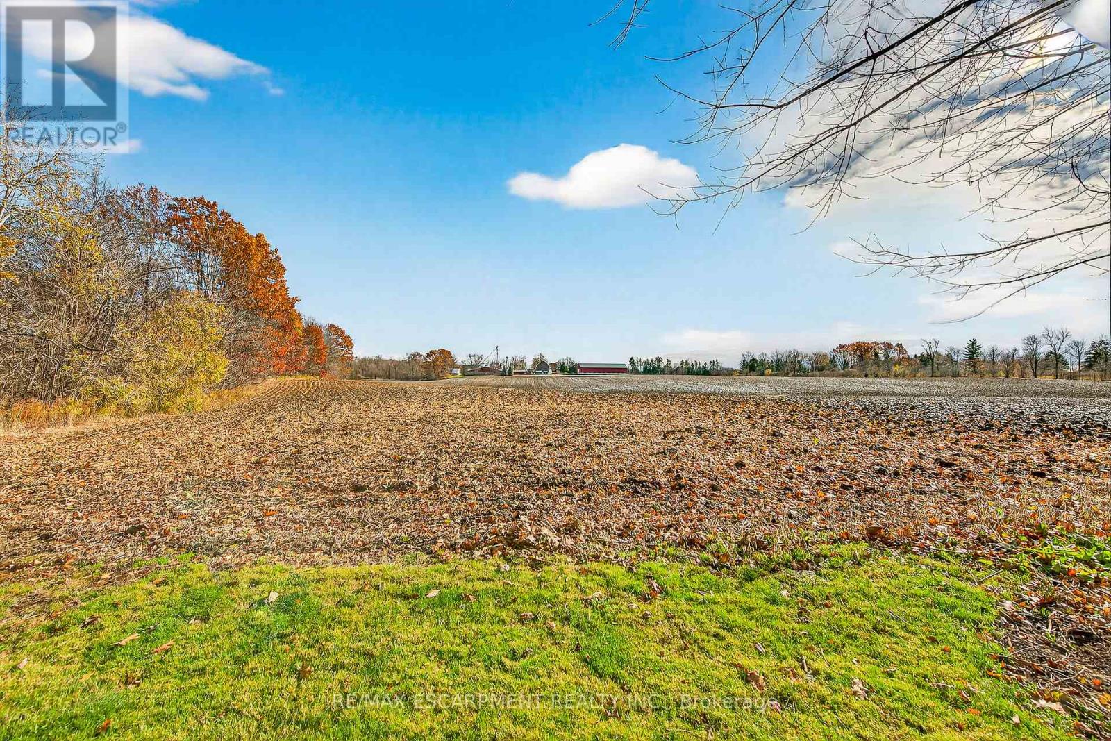 1597 TRINITY CHURCH ROAD, Hamilton, Ontario, L0R1P0 — Photo 40