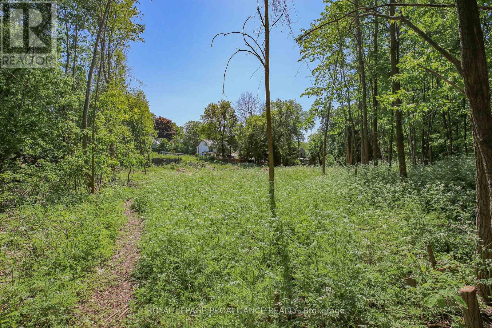 0 EDWARD STREET, Brockville, Ontario, K6V5K2 — Photo 6