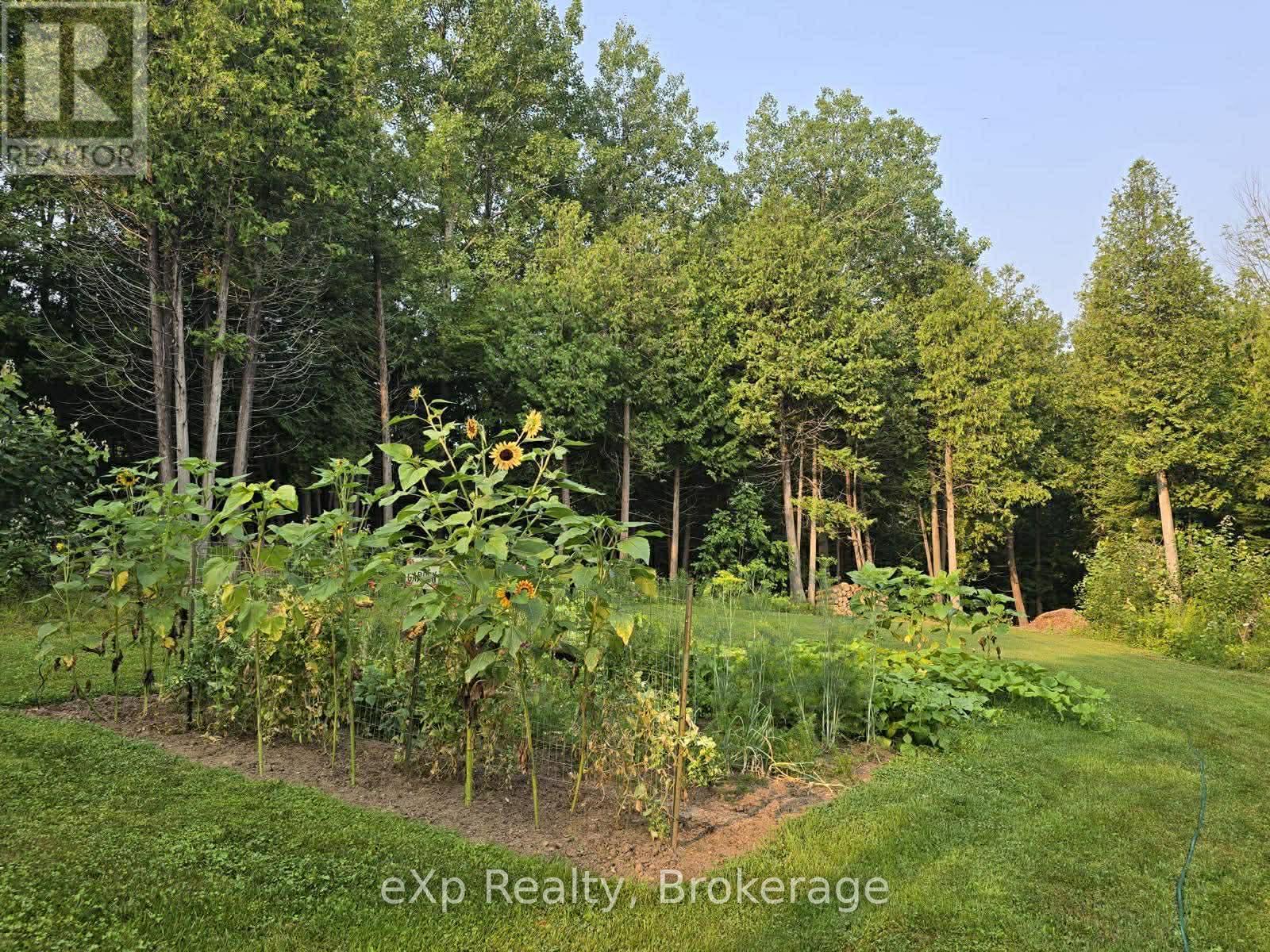 303709 SOUTH LINE, West Grey, Ontario, N0C1K0 — Photo 35