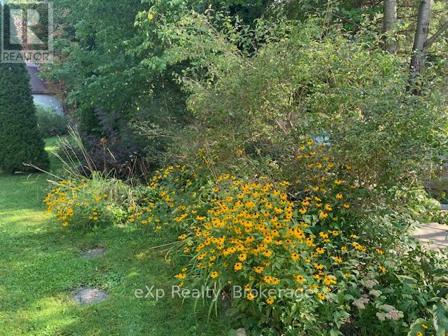 145 3RD AVENUE SE, Arran-Elderslie, Ontario, N0G1L0 — Photo 31