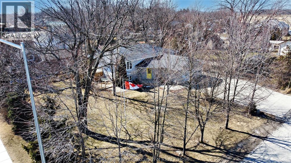 6201 Main STREET, Comber, Ontario, N0P1J0 — Photo 9